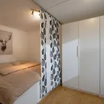 Anfang Apartment *